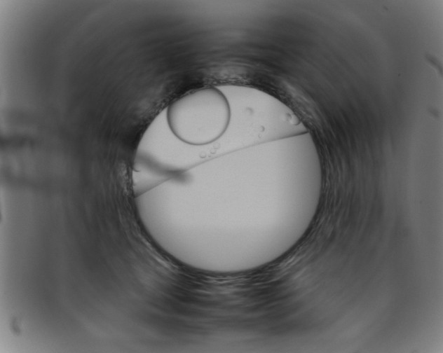 X0000098040465200804251044