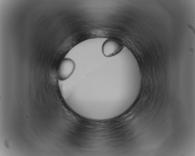 X0000098040466200804251044