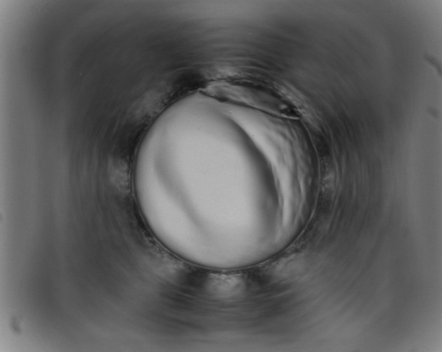 X0000098040469200804251044