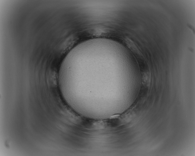 X0000098040470200804251044