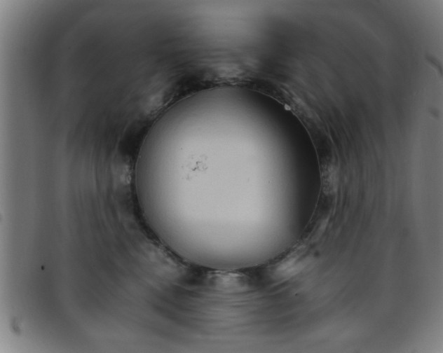 X0000098040472200804251044