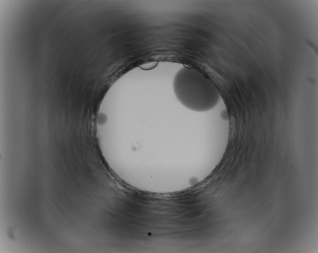 X0000098040475200804251044