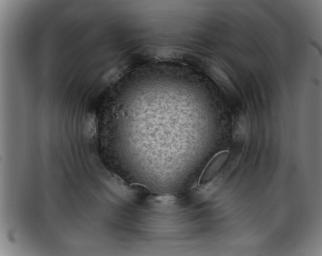 X0000098040478200804251044