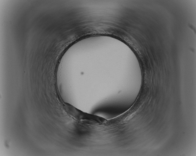 X0000098040481200804251043