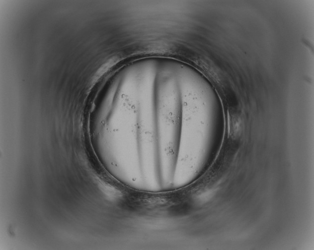 X0000098040483200804251043