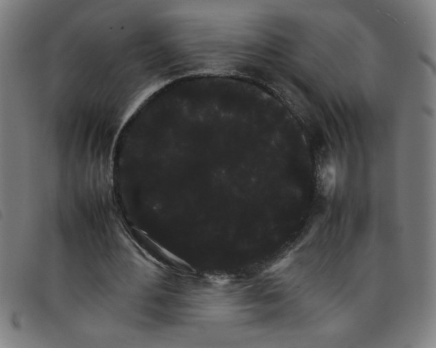 X0000098040484200804251043