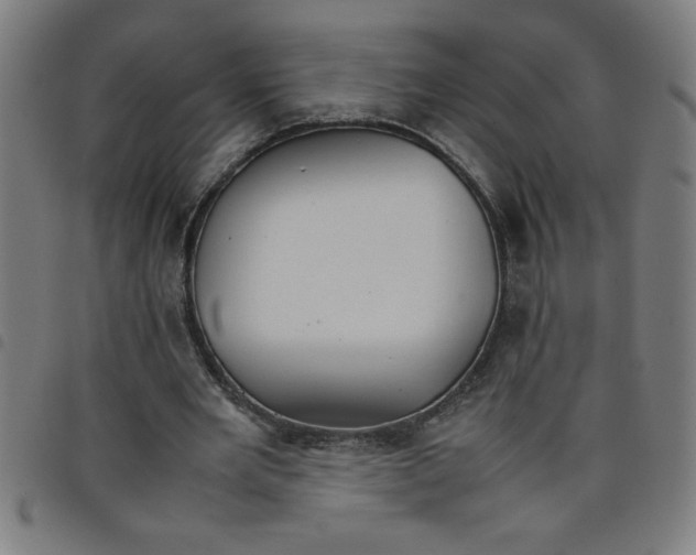 X0000098040485200804251043