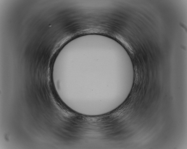 X0000098040486200804251043