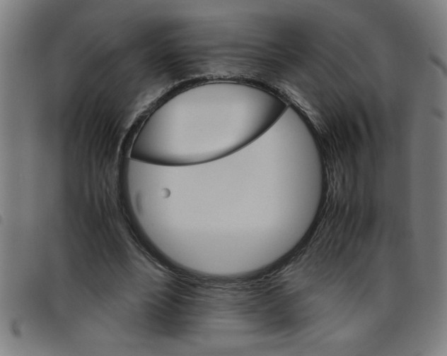 X0000098040488200804251043