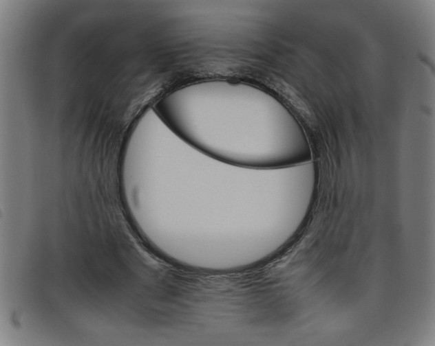 X0000098040489200804251043