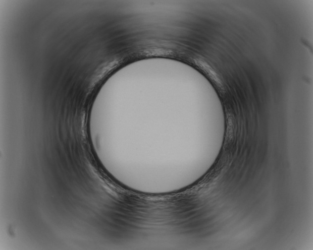 X0000098040490200804251043