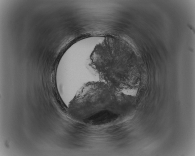 X0000098040491200804251043