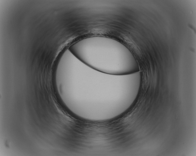 X0000098040492200804251043