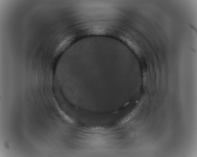 X0000098040493200804251043