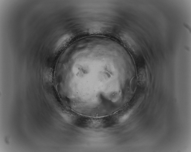 X0000098040495200804251043