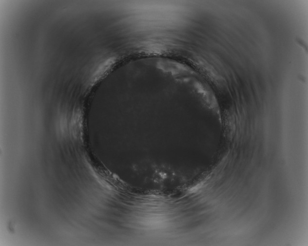 X0000098040496200804251043