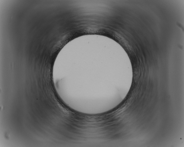 X0000098040497200804251043