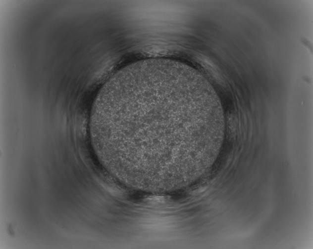 X0000098040499200804251043