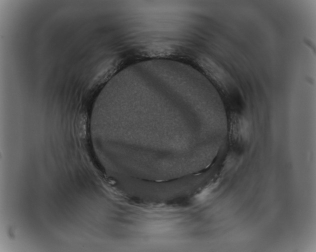 X0000098040501200804251043