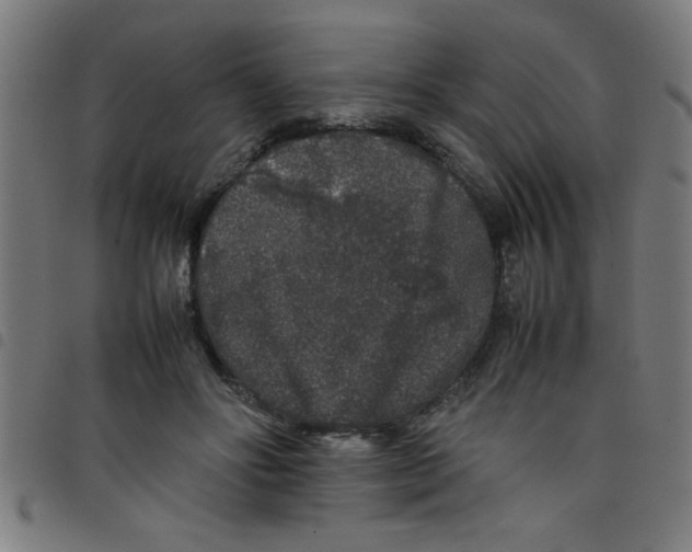 X0000098040502200804251043