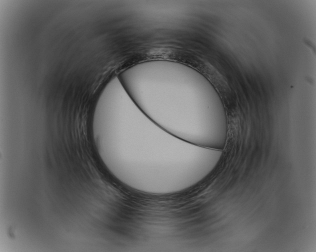 X0000098040504200804251043