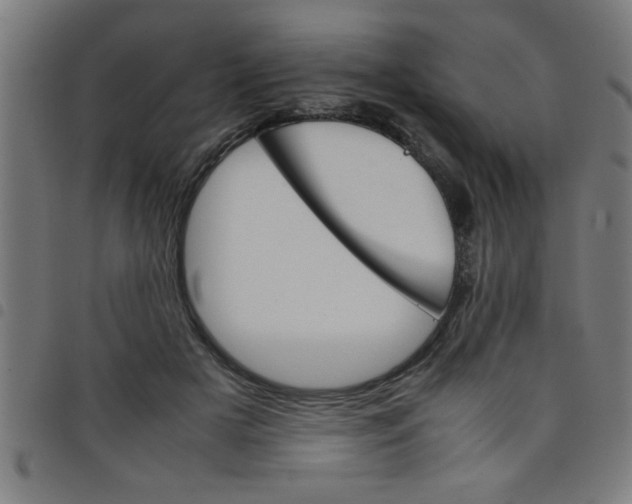 X0000098040505200804251043