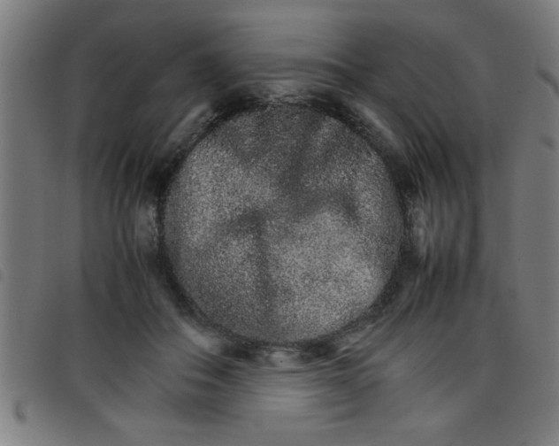 X0000098040506200804251043