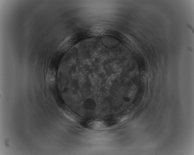 X0000098040507200804251043