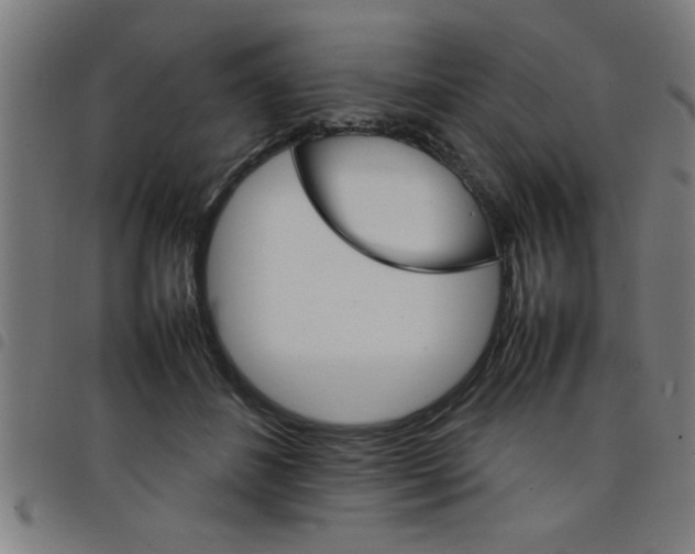 X0000098040508200804251043