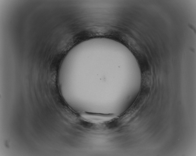 X0000098040509200804251043