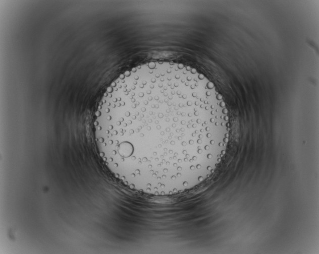 X0000098040510200804251043