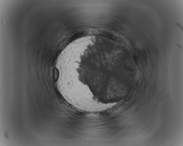 X0000098040511200804251043