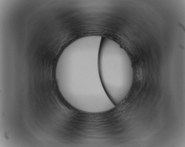 X0000098040512200804251043