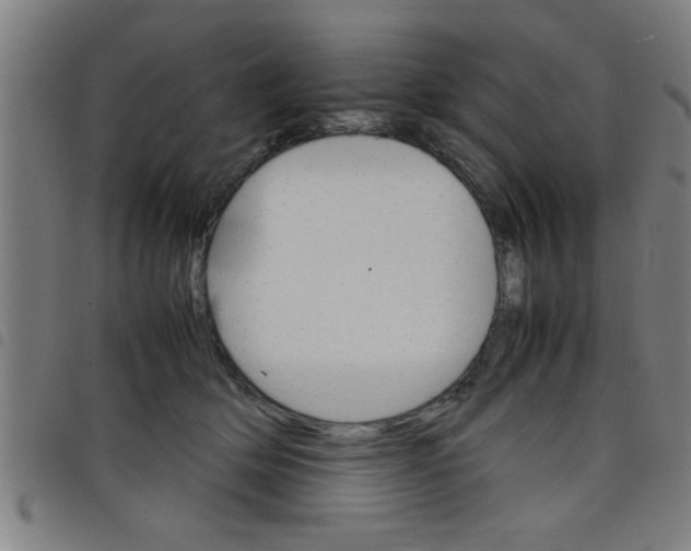 X0000098040514200804251042