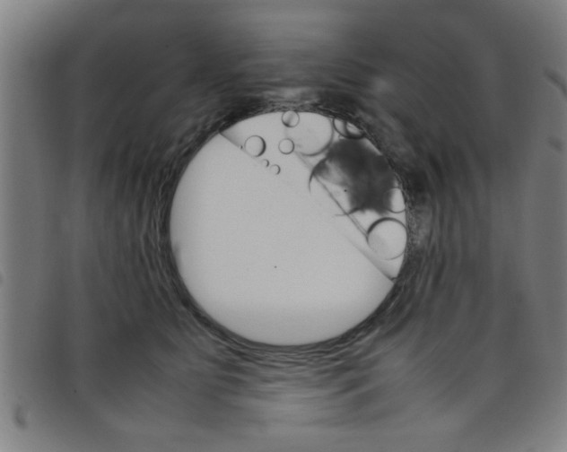 X0000098040515200804251042