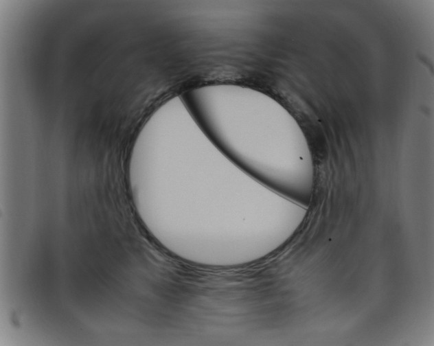 X0000098040517200804251042