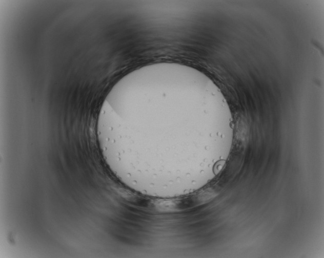 X0000098040518200804251042