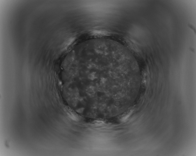 X0000098040519200804251042