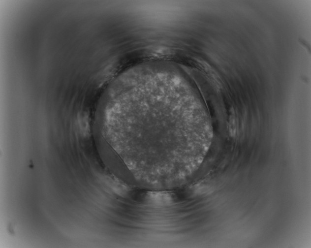 X0000098040520200804251042