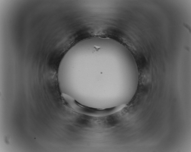 X0000098040521200804251042