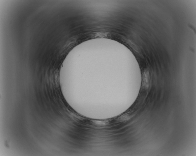 X0000098040522200804251042