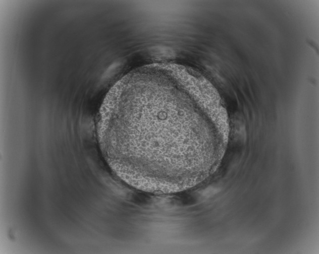 X0000098040523200804251042