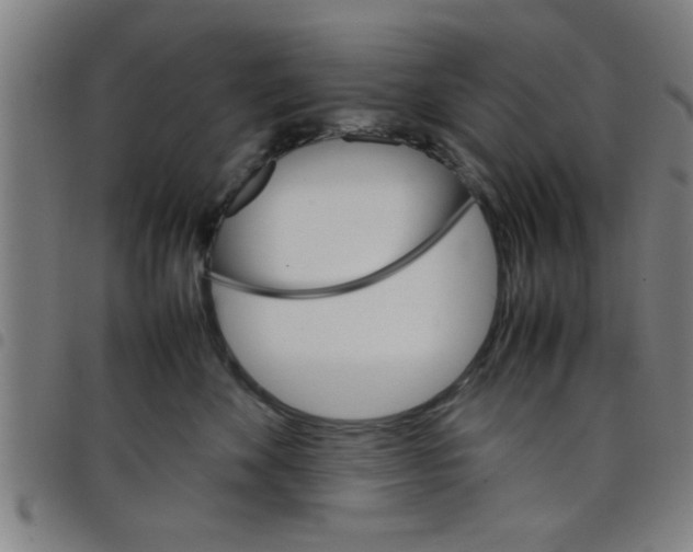 X0000098040524200804251042