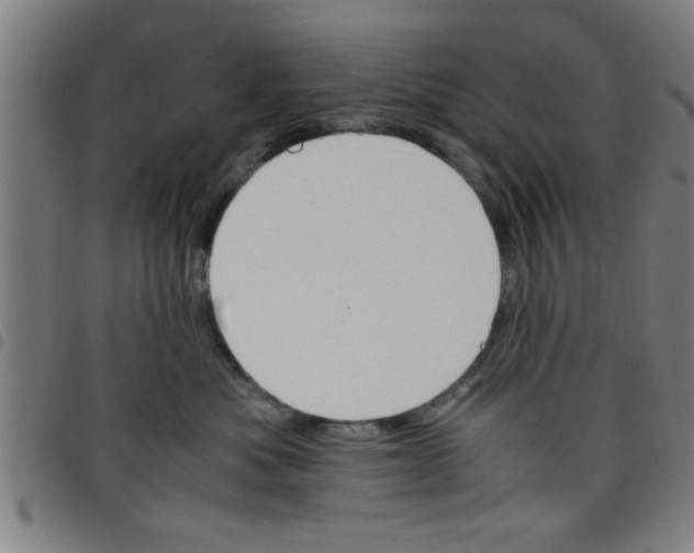 X0000098040525200804251042