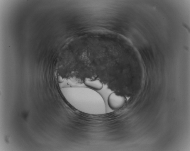 X0000098040527200804251042