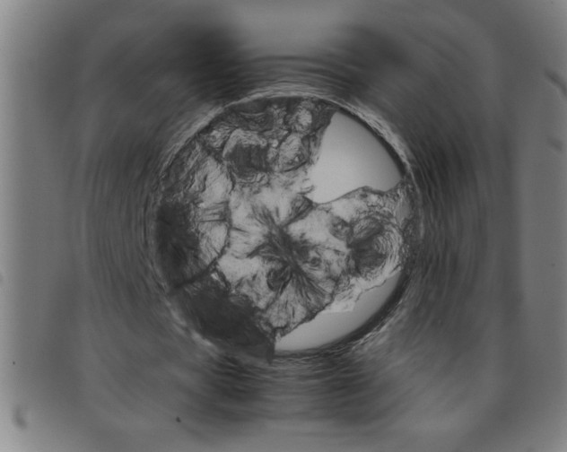 X0000098040529200804251042