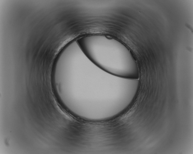 X0000098040530200804251042