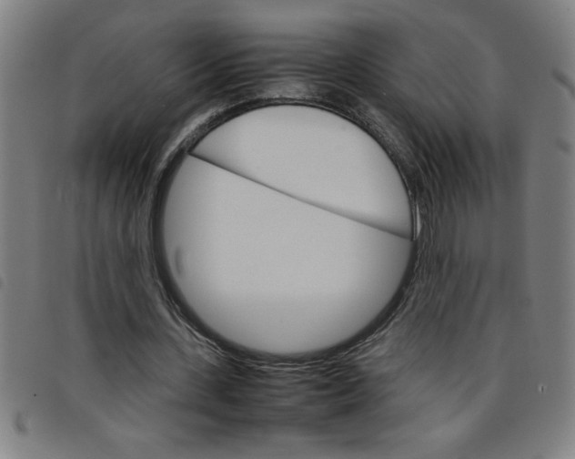 X0000098040531200804251042