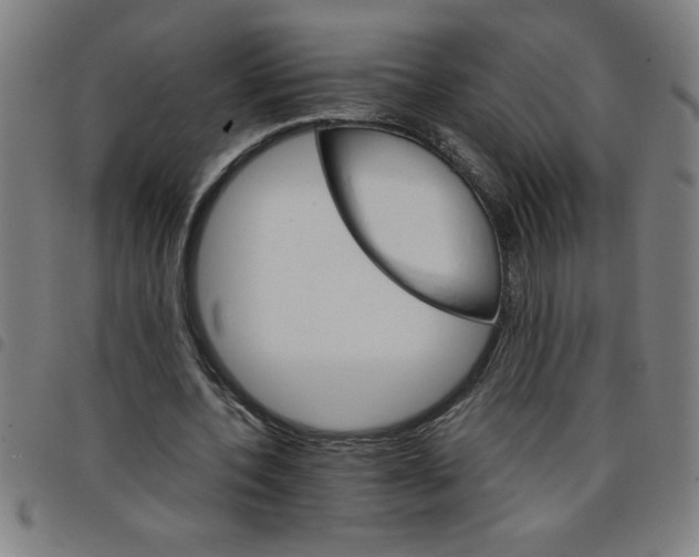 X0000098040532200804251042