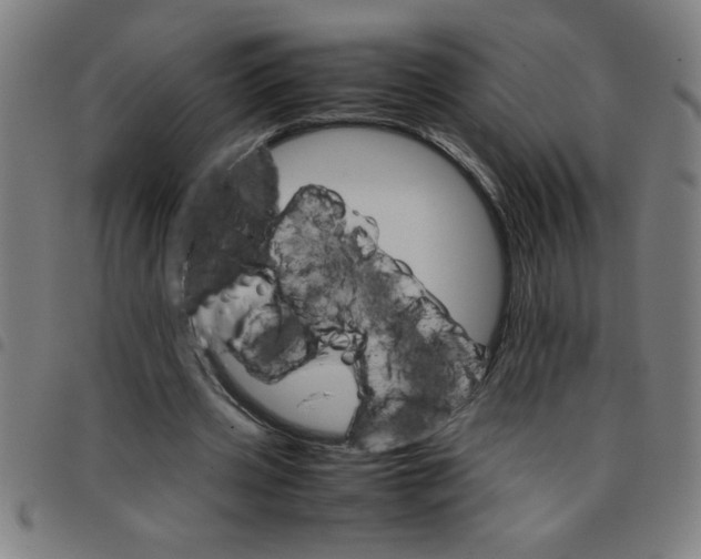 X0000098040533200804251042